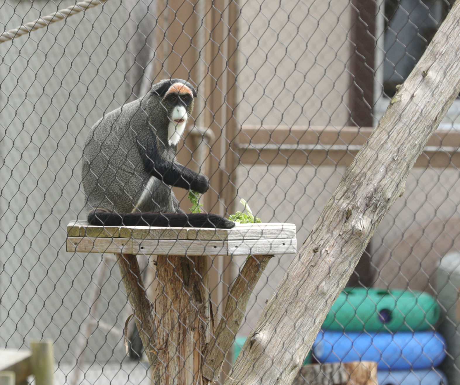 Cape May Zoo